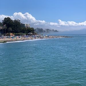 Meet your Posher, Kellie